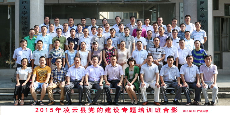 凌云党建.jpg